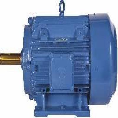 0.5 HP Bharat Bijlee FLP Motor