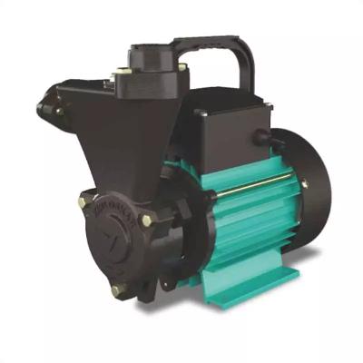 Kirloskar Mini 28s Single Phase Water Pump