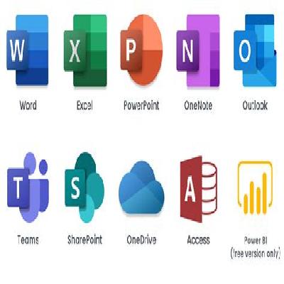MS Office Software