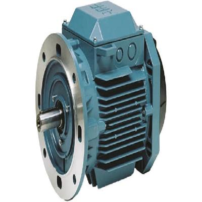 ABB IE2 High Efficiency Induction Motor
