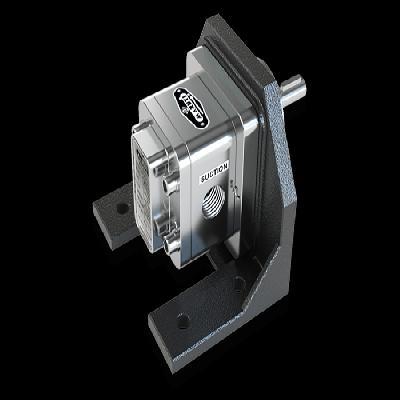Stainless Steel Rotary Gear Pumps