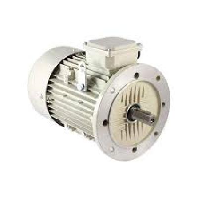 1 HP Flange Motor