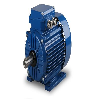 Electrical Motor