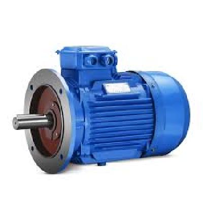 Flench Type Electric Motors