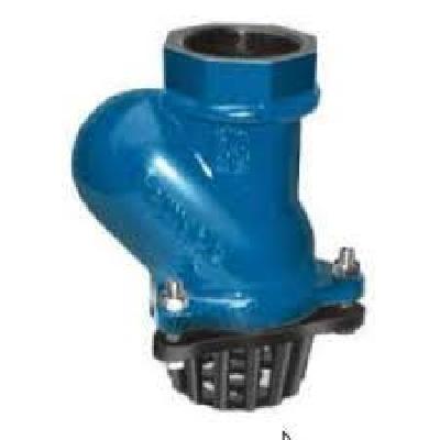 Ball Type Foot Valve