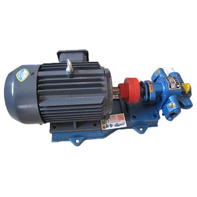 Positive Displacement Rotary Gear Pump