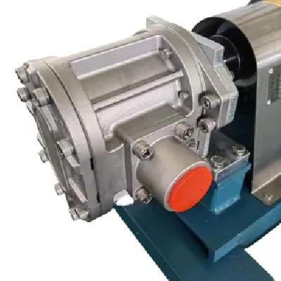 SS Rotary Gear Pump