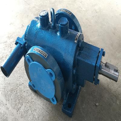 Rotary Gear Pumps