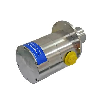SS Gear Pump