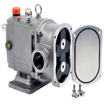 Rotary Lobe Pump