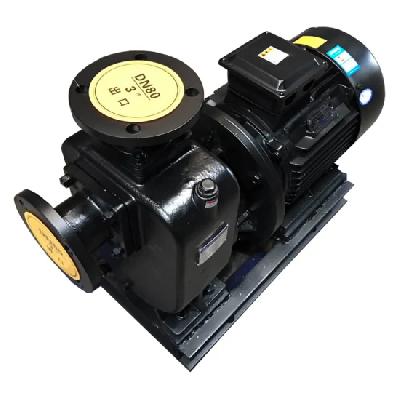 Cast Iron Self Priming Monoblock Mud Pump
