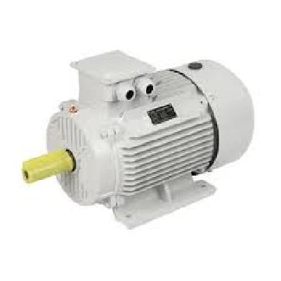 Vertical Long Shaft Motor