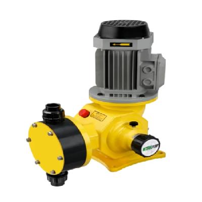 Mechanically Actuated Diaphragm Pump