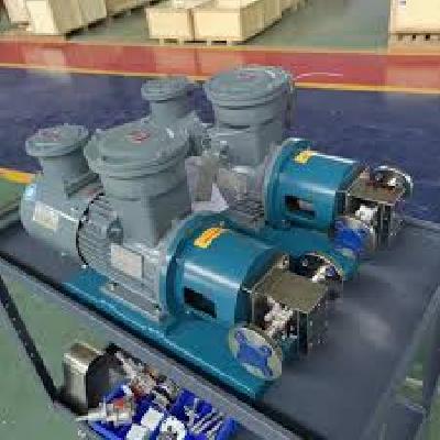 SS-316 Rotary Gear Pump
