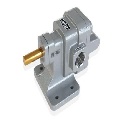 CI Rotary Gear Pump