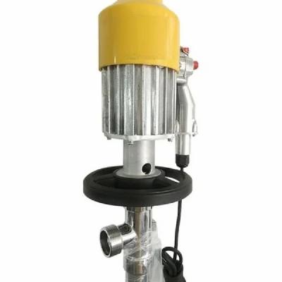 SS Barrel Pump