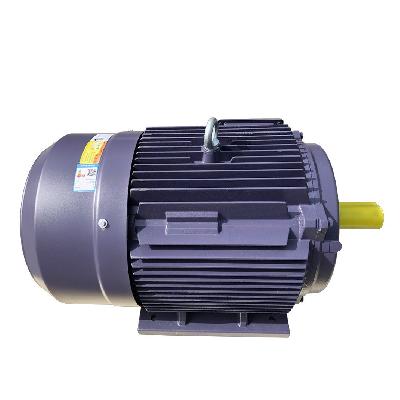Standard Electric Motor