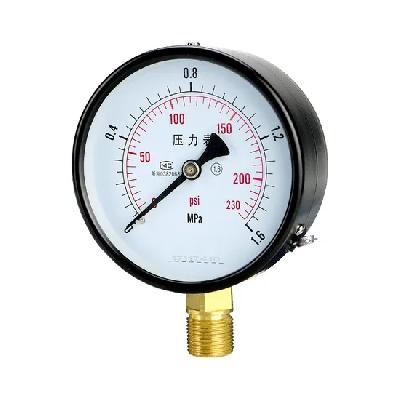 MS Pressure Gauge
