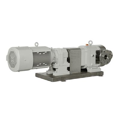 Borger Rotary Lobe Pumps