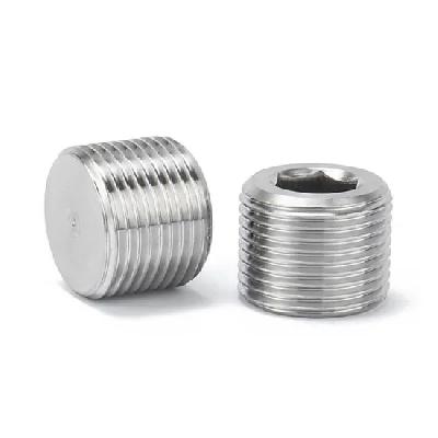 SS Plug