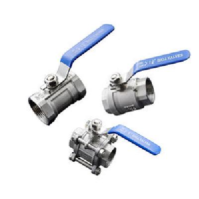 SS Valves