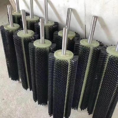 Plate Processor Brush Roller Imported