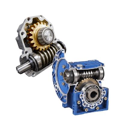 Worm Gear Drive