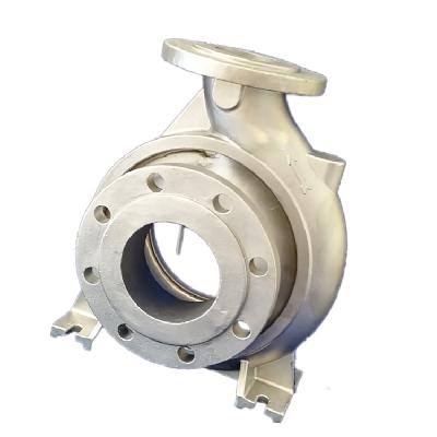 Investment Casting SS Pumps