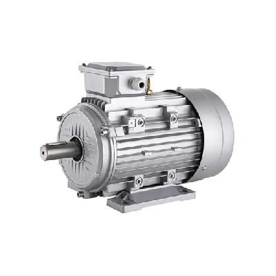 Jyoti TEFC Squirrel Cage Motors