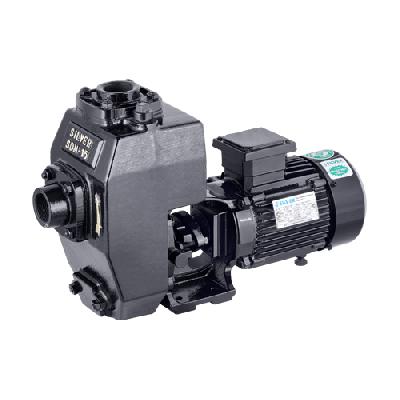 Self Priming Mud Mono Pumpset
