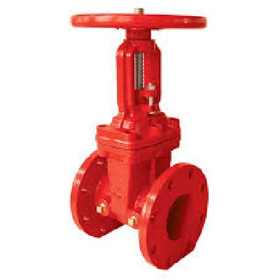 200 PSI Gate valve