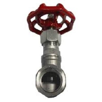 200 PSI Globe Valve