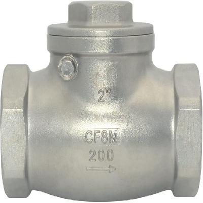 200 PSI Swing Check Valve