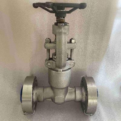 Flange And Butt Welded Globe Valve