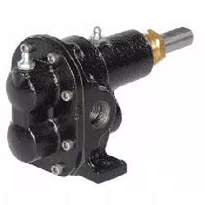 Cast Iron Rotary Gear Pump
