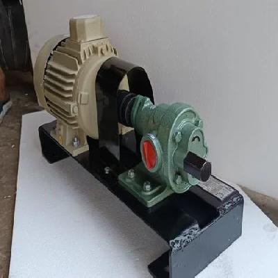 SS316 Rotary Gear Pump