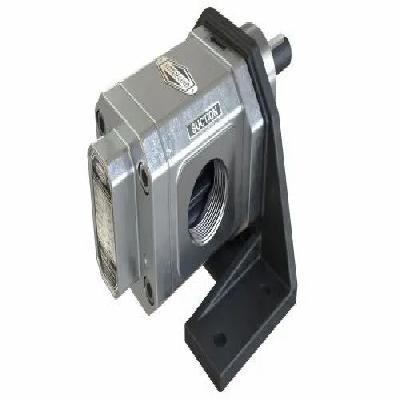SS 316 Gear Pump