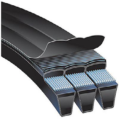 Banded Belt
