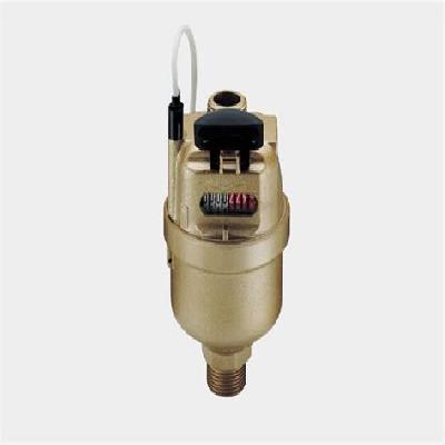 Domestic Water Meter