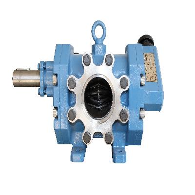 ROTARY GEAR PUMP