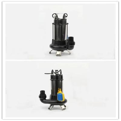 2HP Sewage Pump