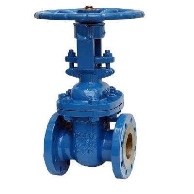 Cast Steel Gate Valve
