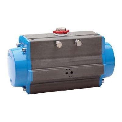 Pneumatic Actuators