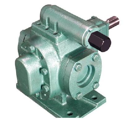Rotodyne Rotary Gear Pumps SS