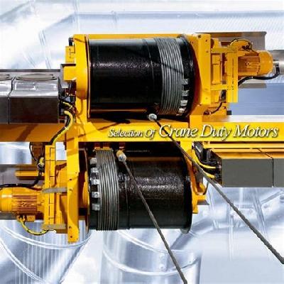 Crane Duty Motor