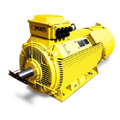 Flameproof Induction Motor