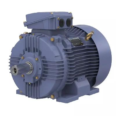 TEFC Squirrel Cage Induction Motor