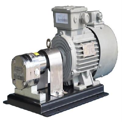 Motorized Rotary Gear Pump