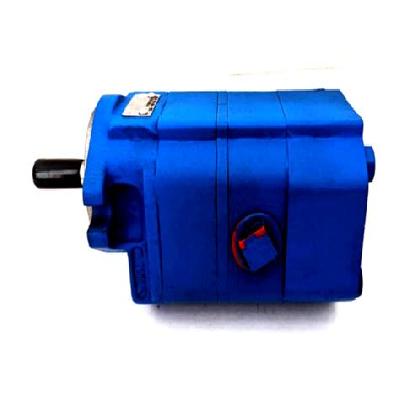 Gear Pumps-Series SG
