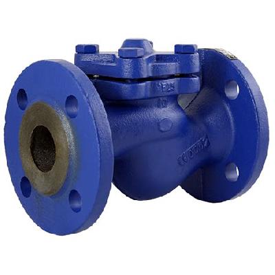 Non Return Valve